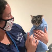 Winter Park Vet Wellness Center ico