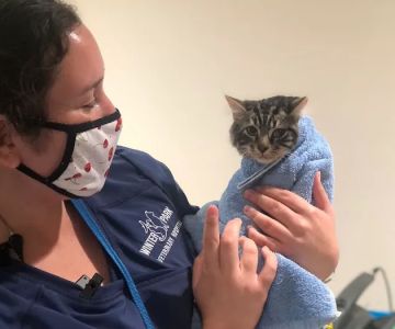 Winter Park Vet Wellness Center