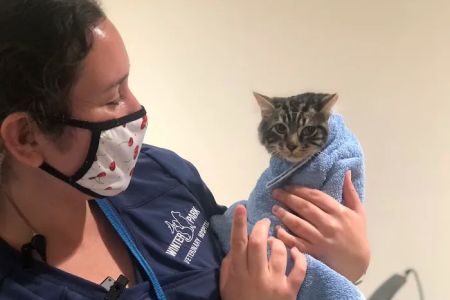 Winter Park Vet Wellness Center