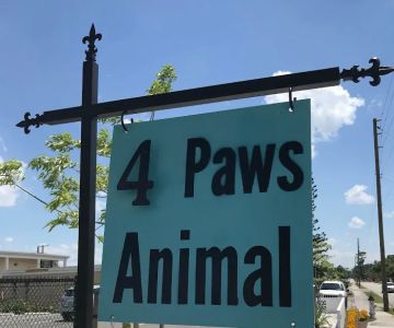 4 Paws Animal Clinic