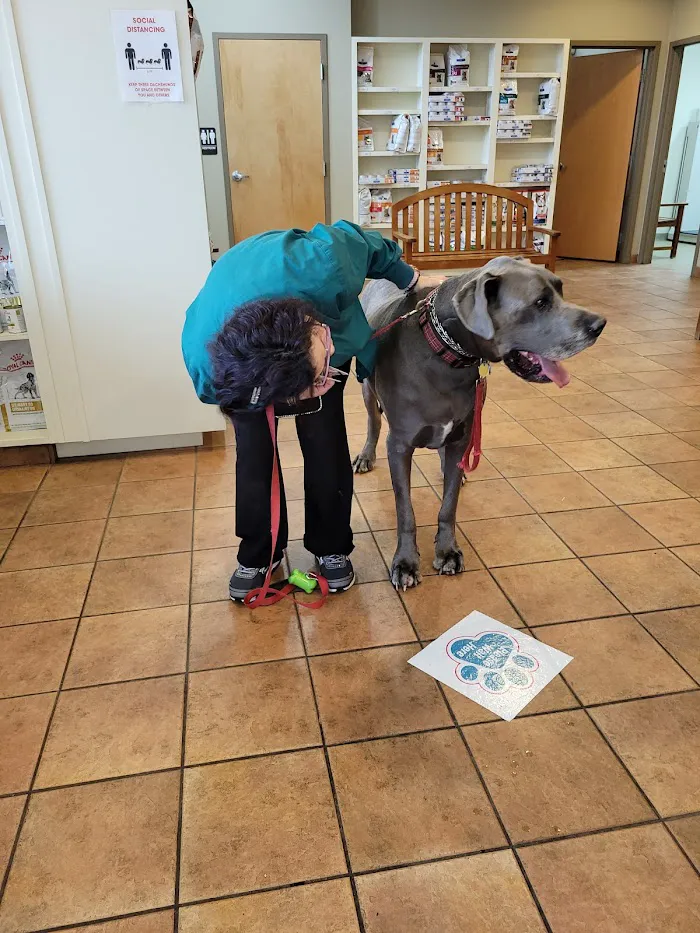 McAbee Veterinary Hospital 12