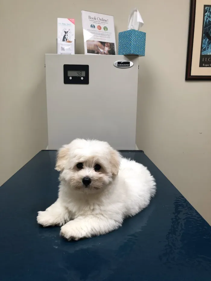McAbee Veterinary Hospital 12