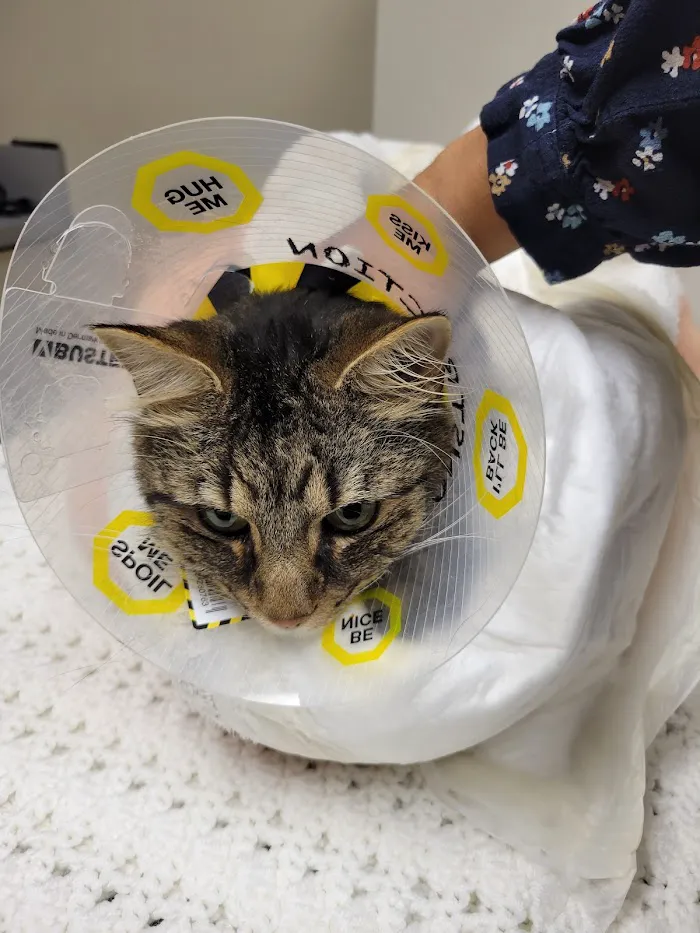 McAbee Veterinary Hospital 12
