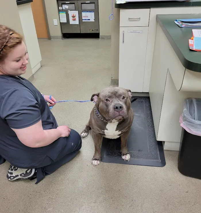 McAbee Veterinary Hospital 12