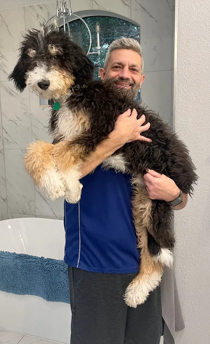 Companion Care Pet Hospital - Winter Park 12