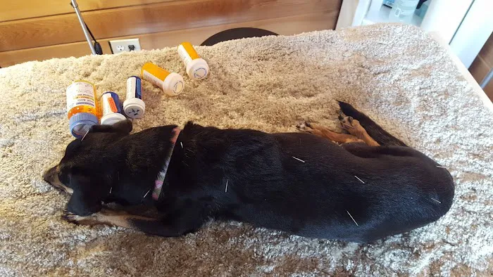 Animal Healing Solutions 12