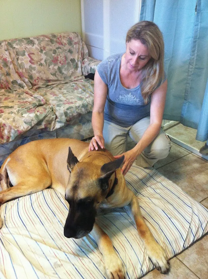 Animal Healing Solutions 12