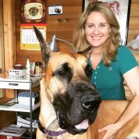 Animal Healing Solutions ico