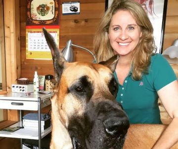 Animal Healing Solutions