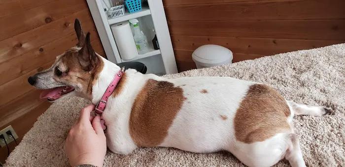 Animal Healing Solutions 12