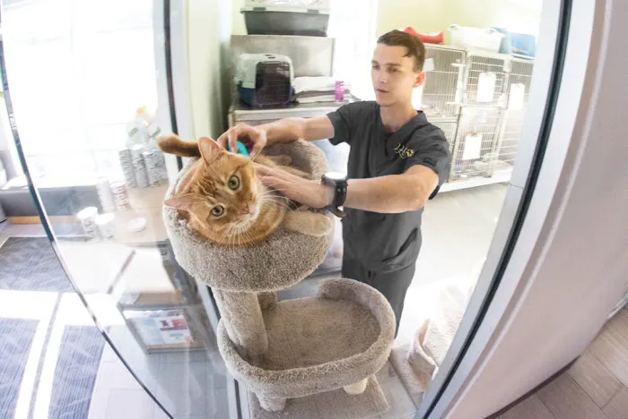 Loch Haven Veterinary Hospital 12