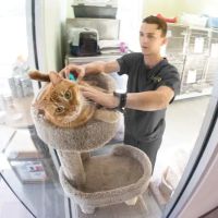 Loch Haven Veterinary Hospital ico
