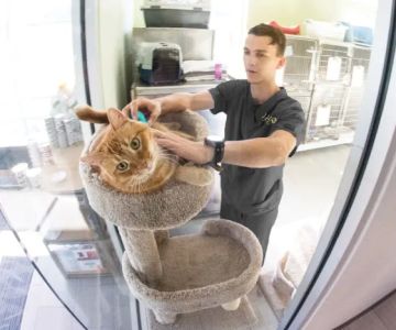 Loch Haven Veterinary Hospital