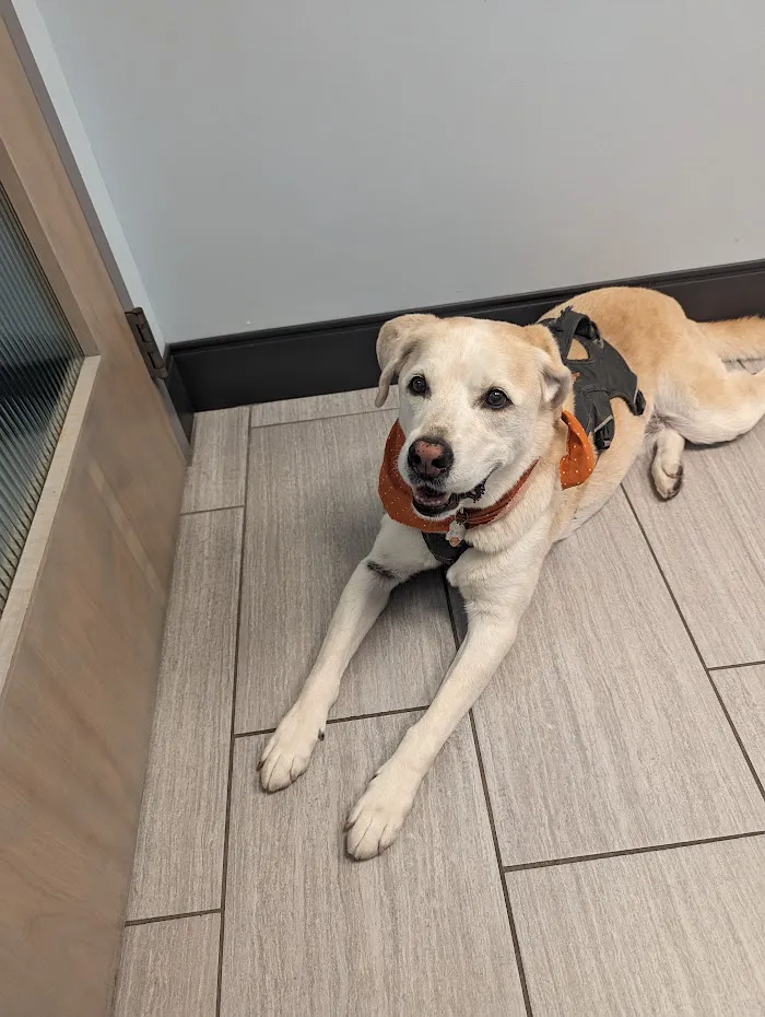 Loch Haven Veterinary Hospital 12