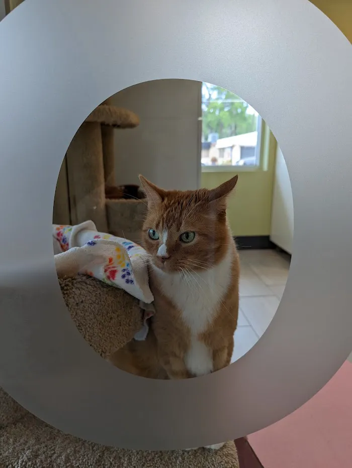 Loch Haven Veterinary Hospital 12