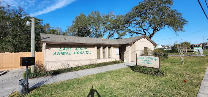 Lake Jesup Animal Hospital 12