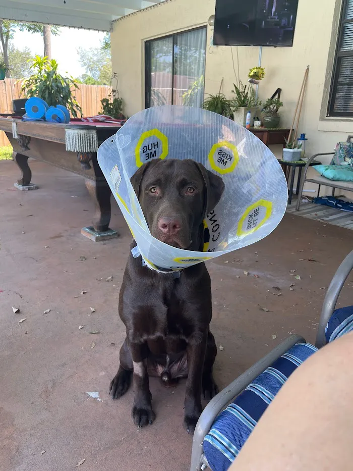 Sanlando Springs Animal Hospital 12
