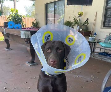 Sanlando Springs Animal Hospital