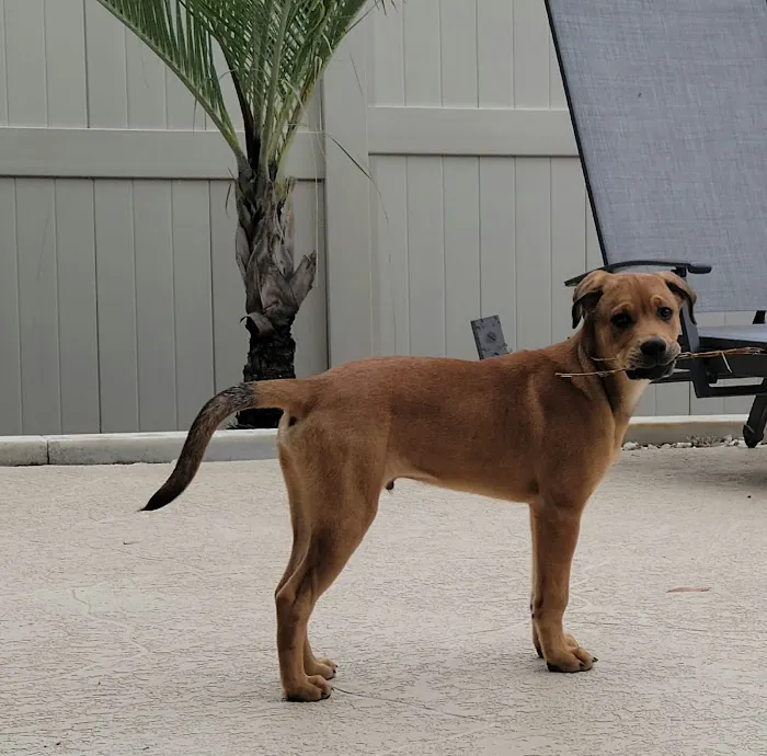 Sanlando Springs Animal Hospital 12