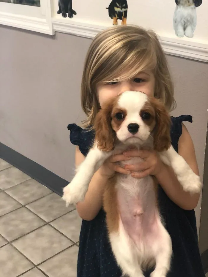 Interlachen Animal Hospital 12