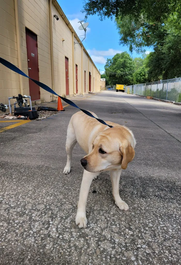 Interlachen Animal Hospital 12