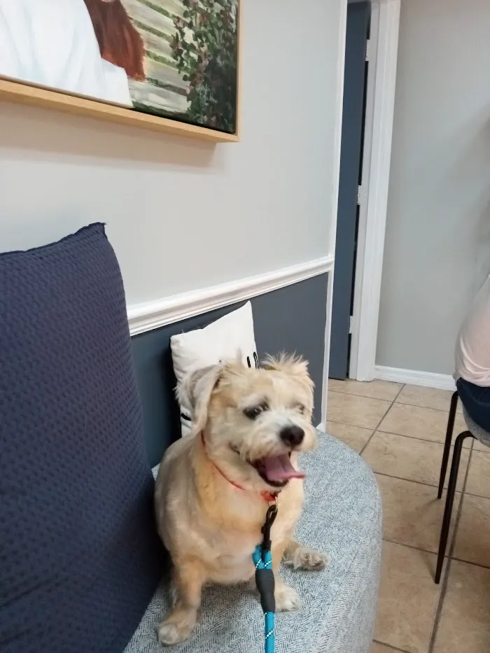 Garden Veterinary Clinic 12