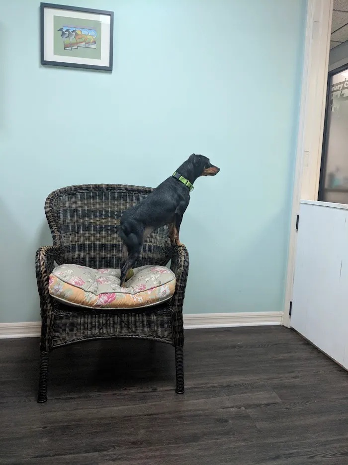 Garden Veterinary Clinic 12