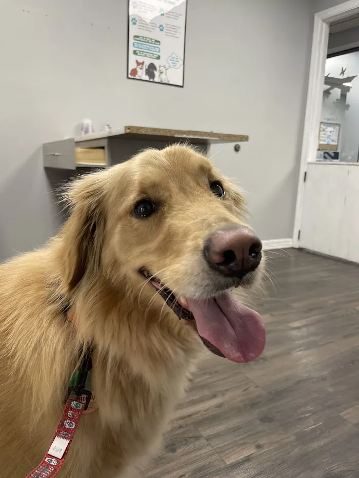 Garden Veterinary Clinic 12