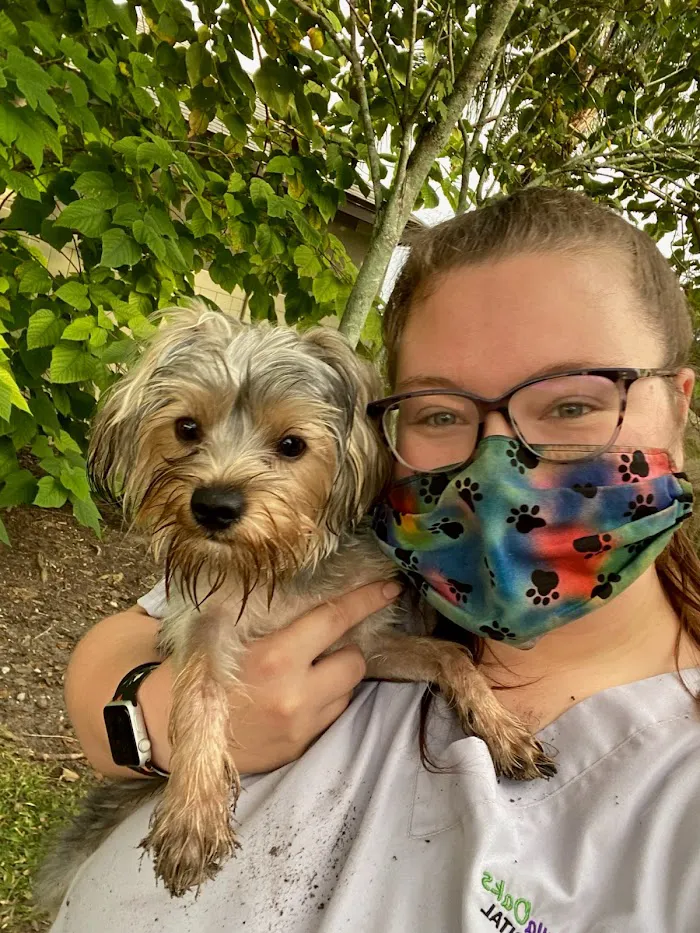 Tuscawilla Oaks Animal Hospital 6
