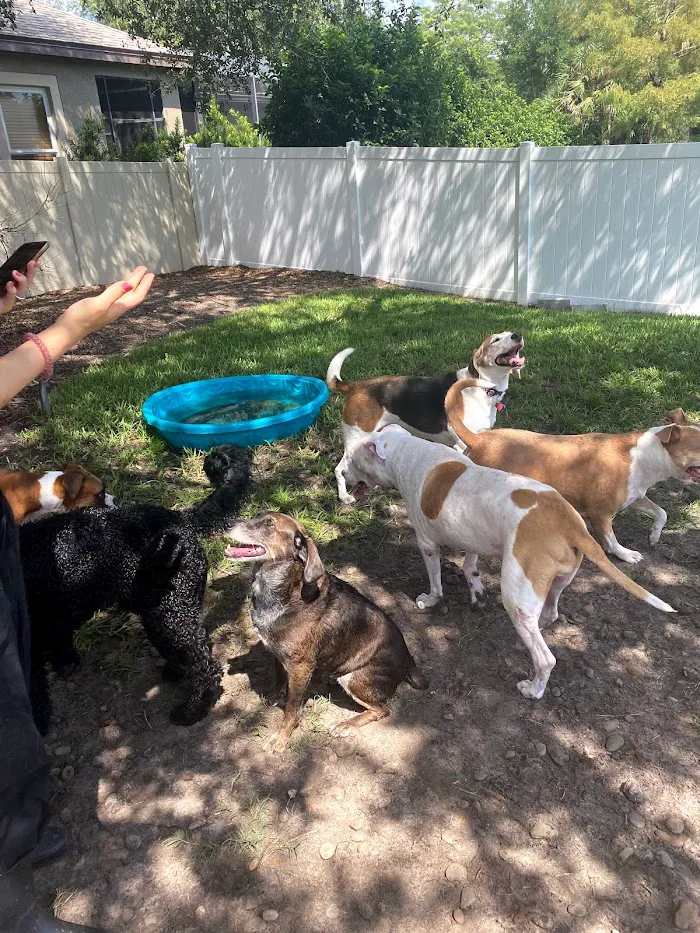 Tuscawilla Oaks Animal Hospital 7