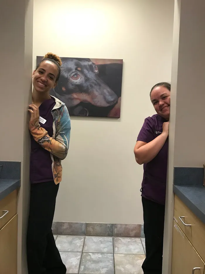 Tuscawilla Oaks Animal Hospital 2