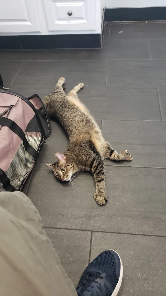 Bear Lake Veterinary Clinic 12