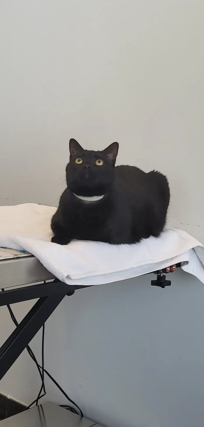 Bear Lake Veterinary Clinic 12