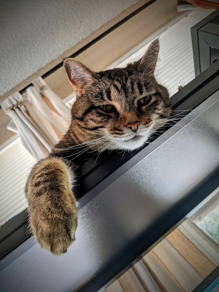 Bear Lake Veterinary Clinic 12