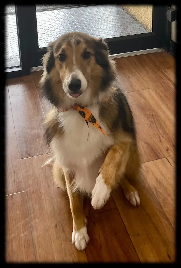 Bear Lake Veterinary Clinic 12