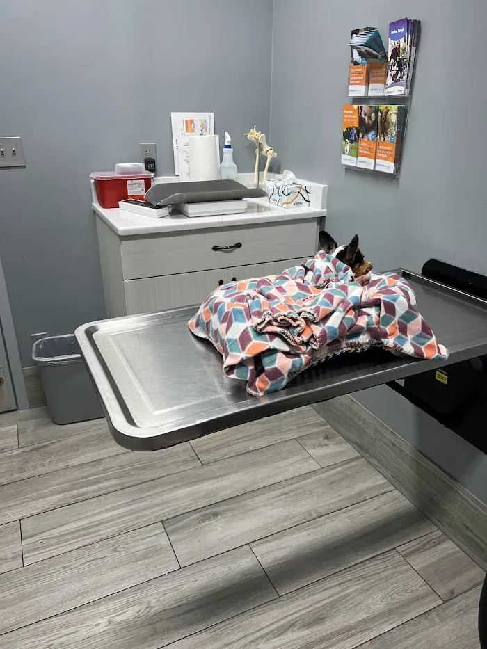 24/7 Animal Hospital of Orlando 5