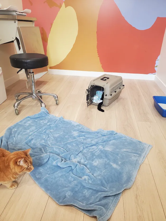 Petfolk Veterinary & Urgent Care - Lake Mary 12