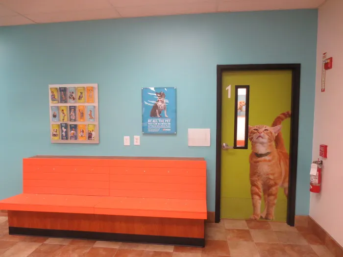 Banfield Pet Hospital 3