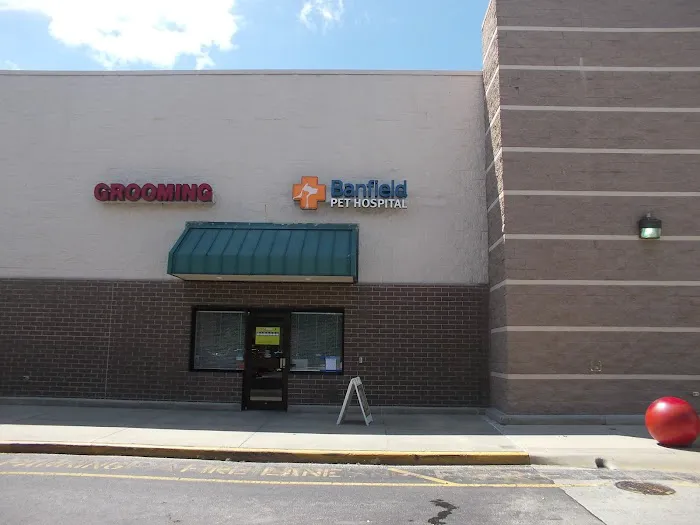 Banfield Pet Hospital 4