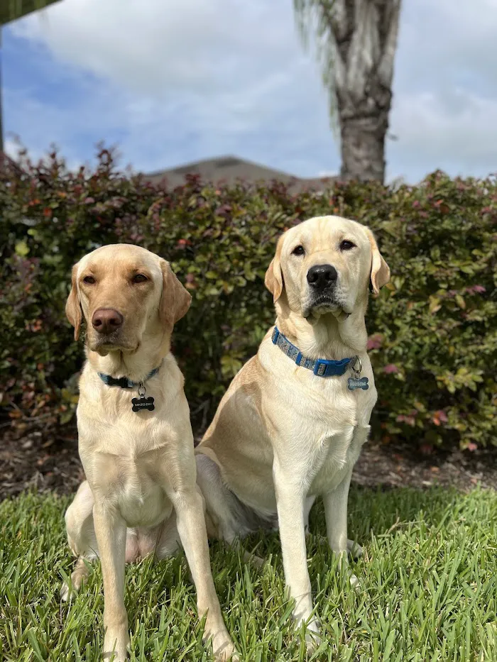 Furever Family Animal Hospital 8