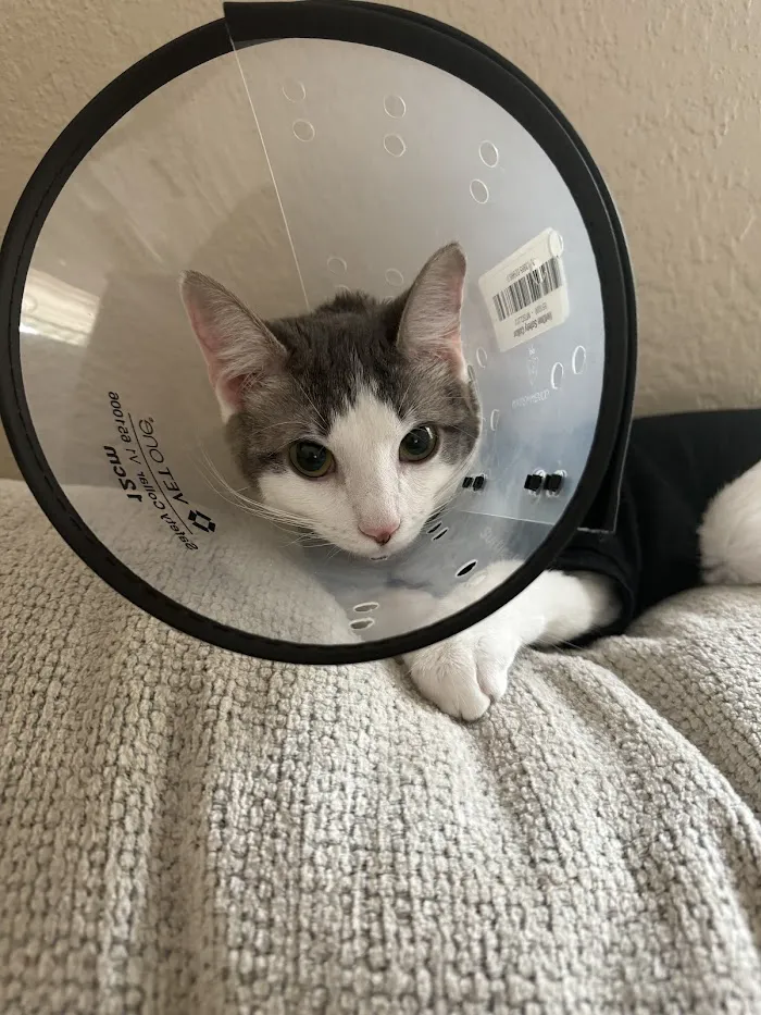 Furever Family Animal Hospital 5