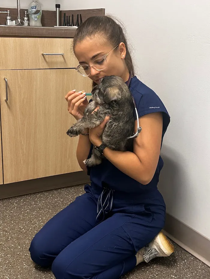 Oviedo Veterinary Care + Emergency (Primary Care) 12