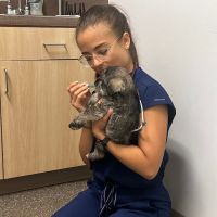 Oviedo Veterinary Care + Emergency (Primary Care) ico