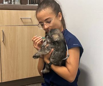 Oviedo Veterinary Care + Emergency (Primary Care)