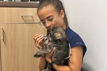 Oviedo Veterinary Care + Emergency (Primary Care)