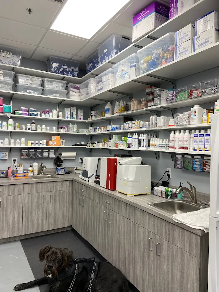 Healthy Pets Urgent Care 12