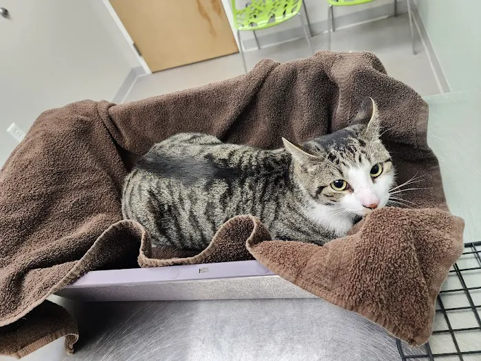 Oviedo Veterinary Care and Emergency 6
