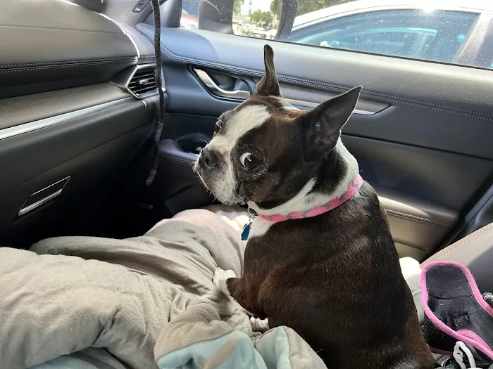Oviedo Veterinary Care and Emergency 3