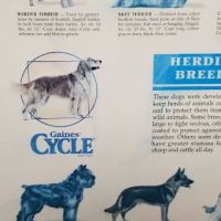 Lake Mary Veterinary Clinic ico