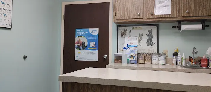 Lake Mary Veterinary Clinic 12